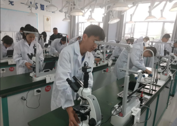 优化评价机制突出在教师教学评价中跨学科教学成果的权重